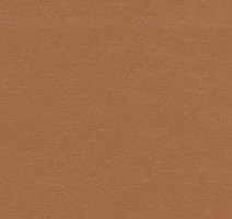 Линолеум Forbo Marmoleum Decibel on Order 337035 terracotta фото 1 | FLOORDEALER
